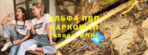 jwh Касимов