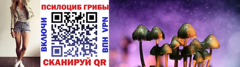 Купить закладки  Белая Калитва  Галлюциногенные грибы Psilocybe 